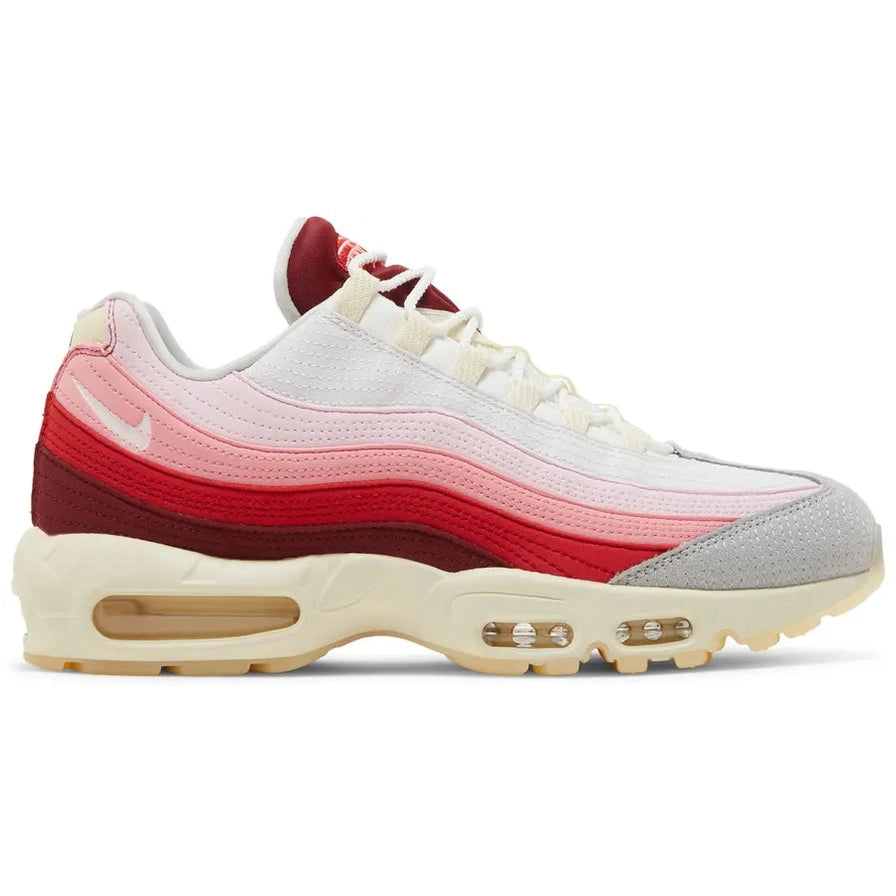 Air Max 95 Anatomy Of Air