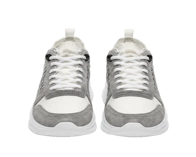 Dior B25 Gris